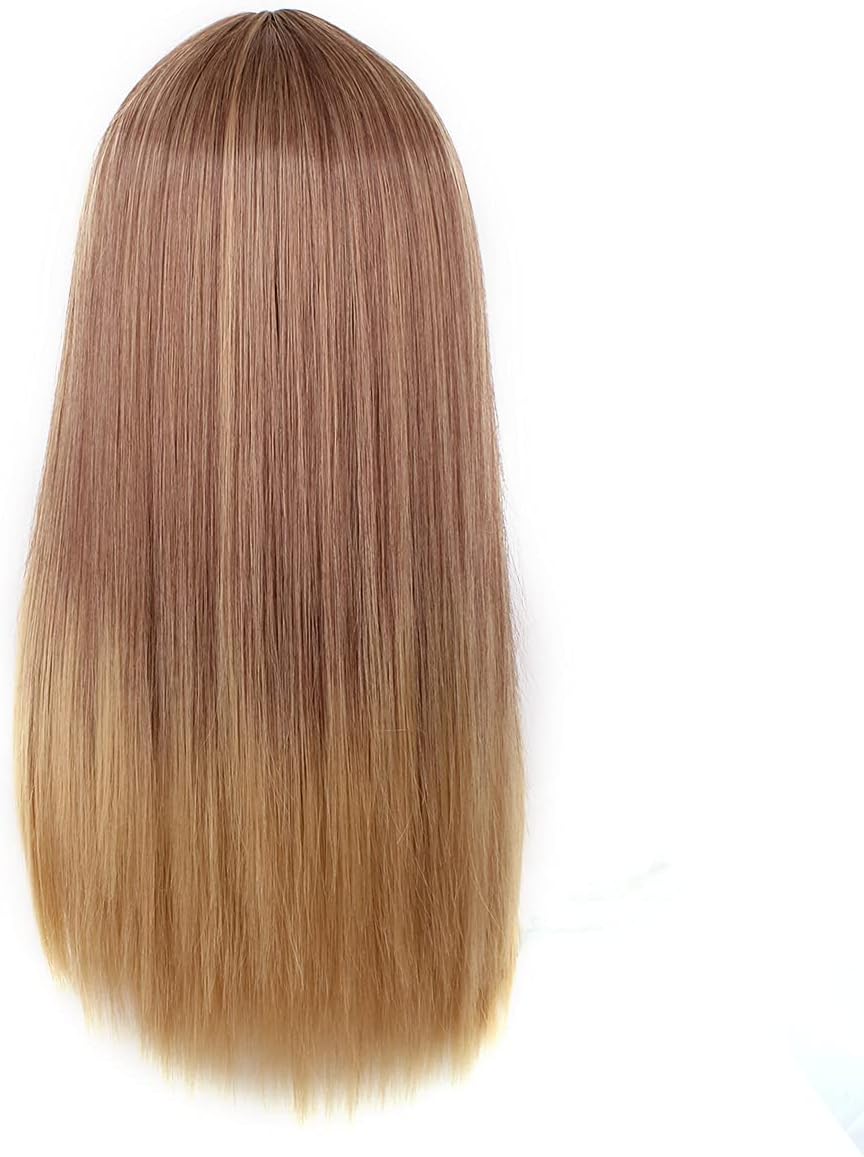 Ladies Light Brown to Blonde Long Straight Ombre Synthetic Wig