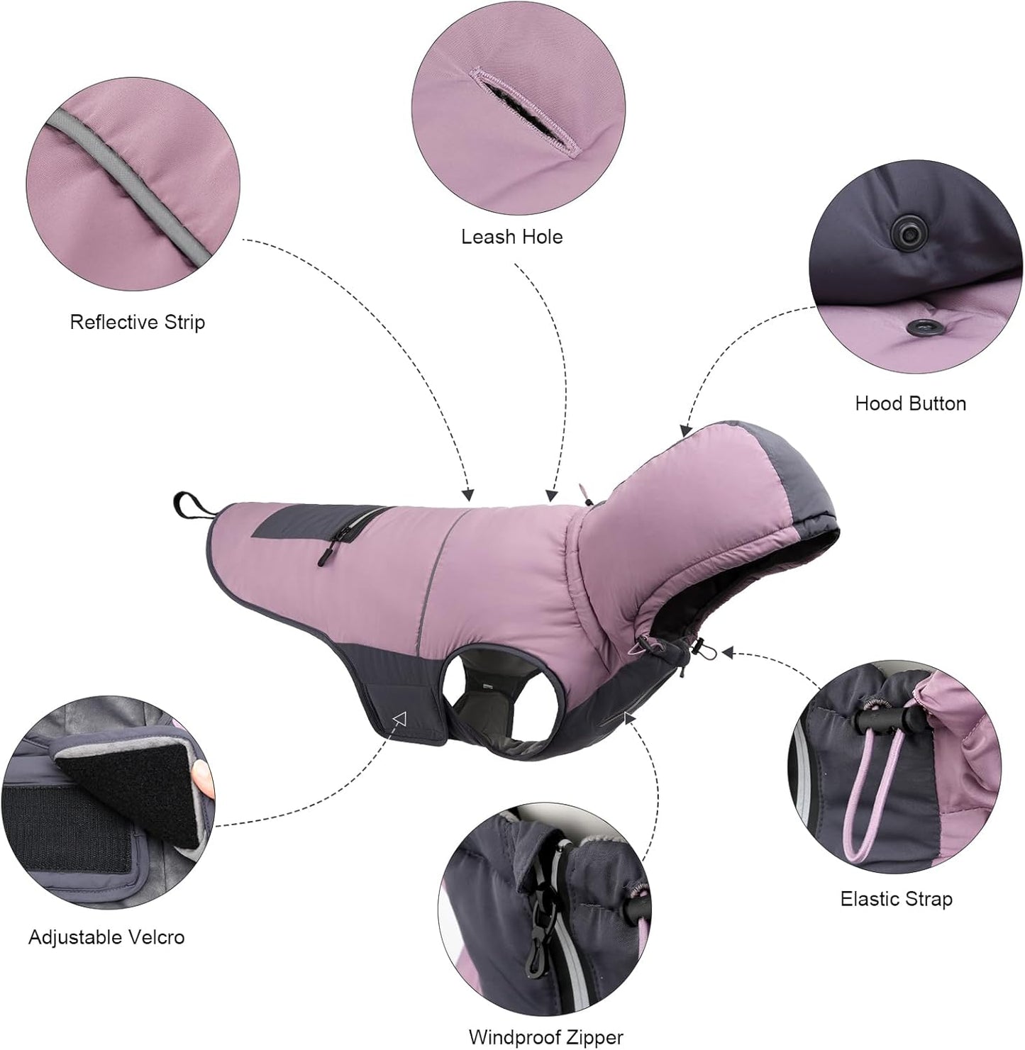 Padded winter dog coat with hood