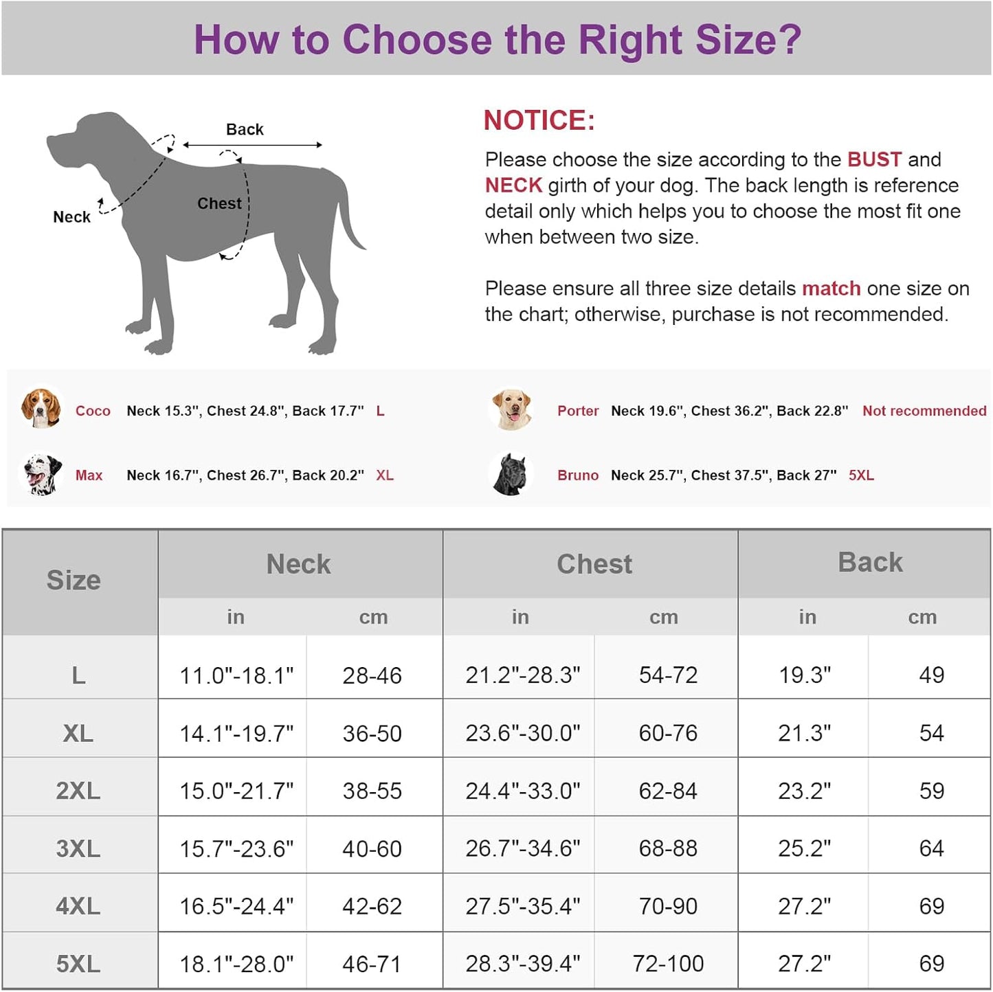 Padded winter dog coat with hood