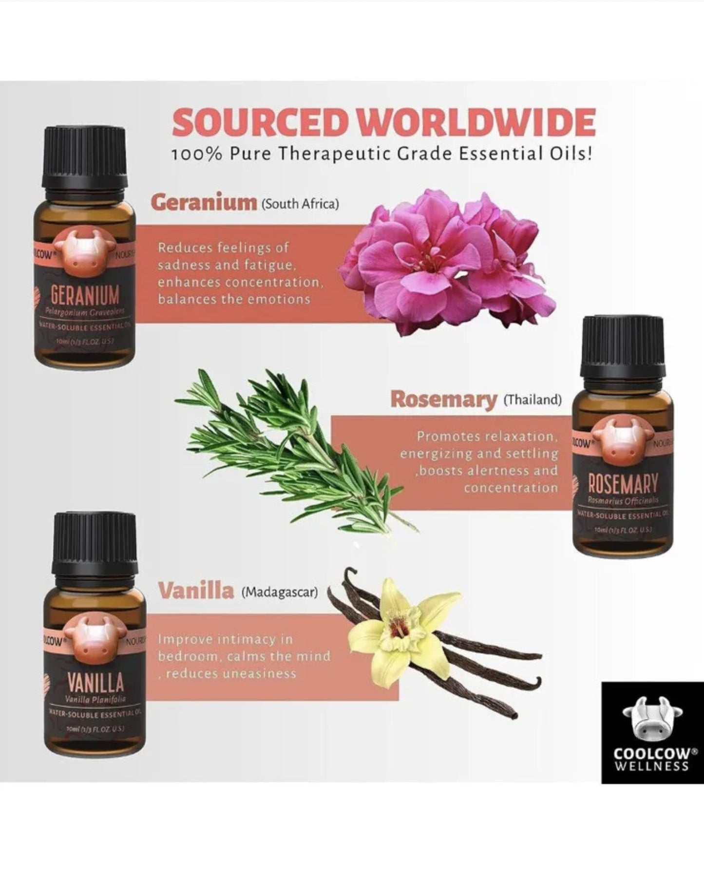 Valentines Romantic Essential Oil Set