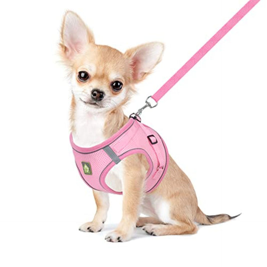 Dog Harness and Leash Set for Small Medium Dog