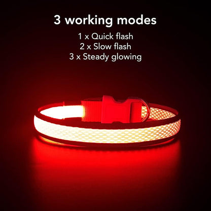 Light up Rechargeable LED Dog Collar (Red, Medium)