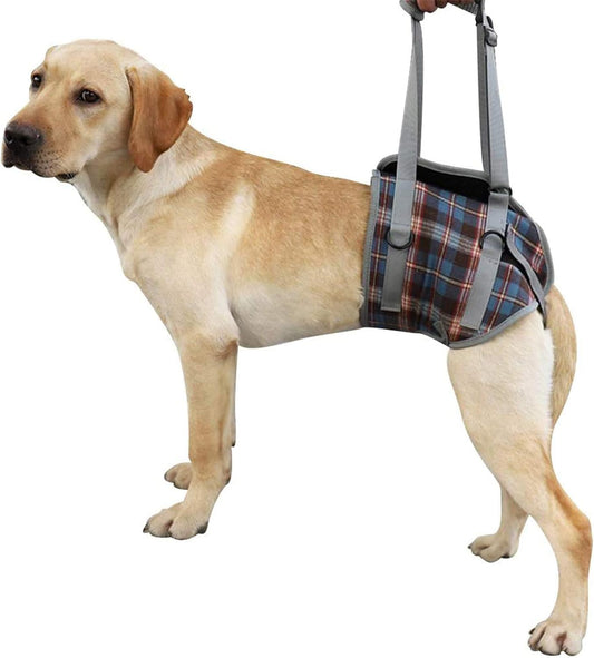 Dog Lift Harness Rear Support Aid Sling for Dogs