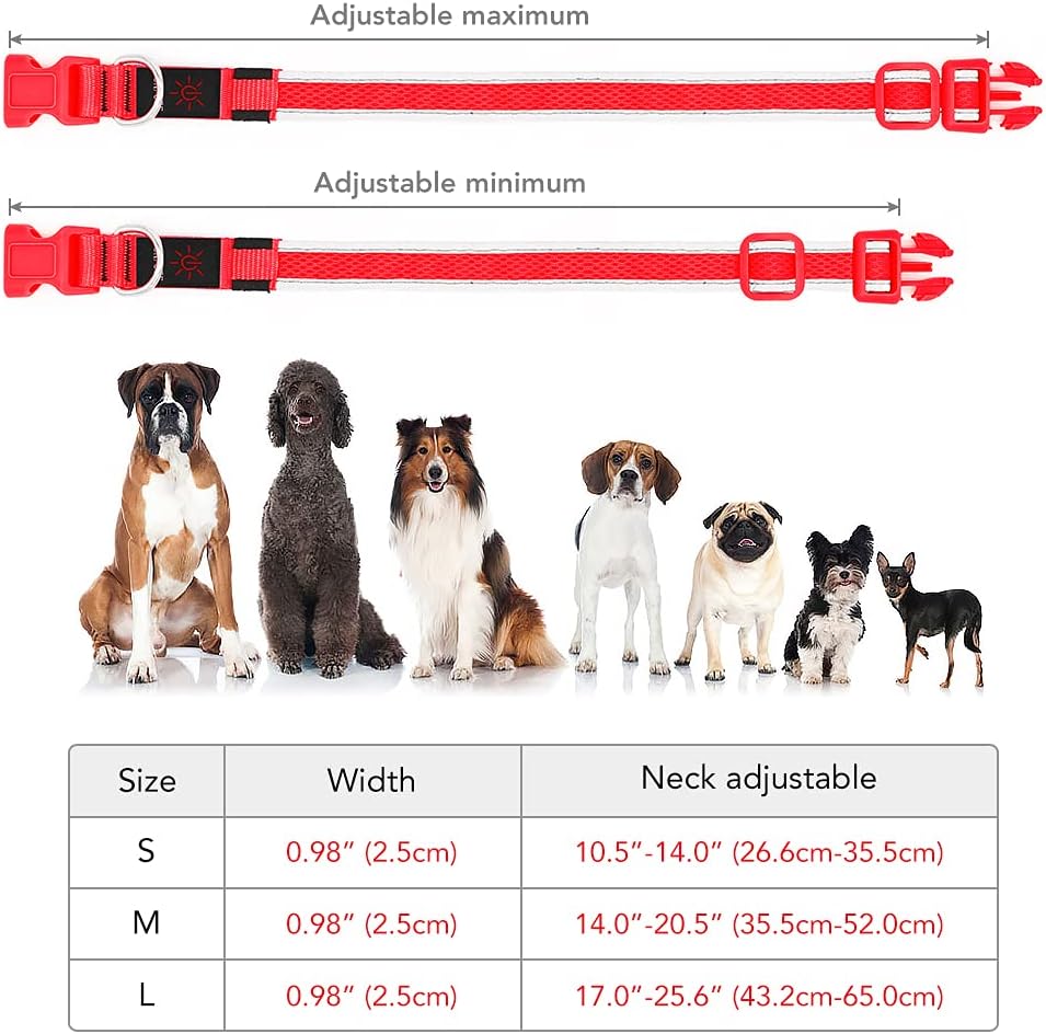 Light up Rechargeable LED Dog Collar (Red, Medium)