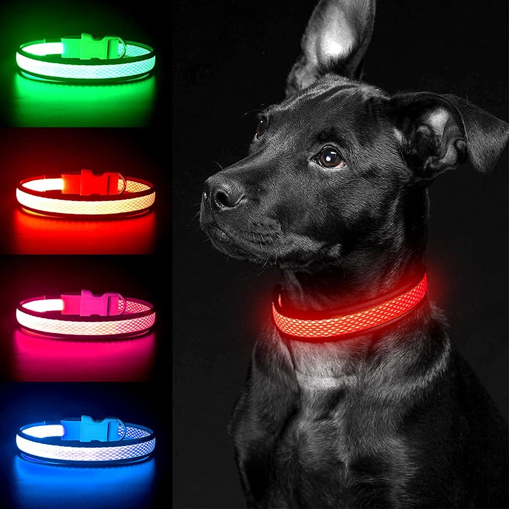 Light up Rechargeable LED Dog Collar (Red, Medium)