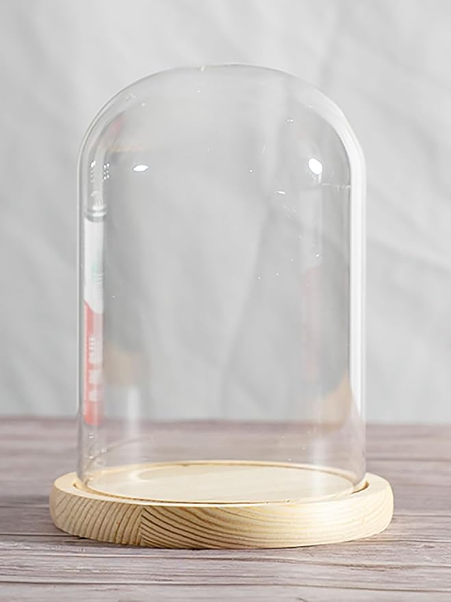Glass Cloche Dome Display with Solid Wood Base