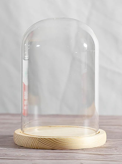 Glass Cloche Dome Display with Solid Wood Base