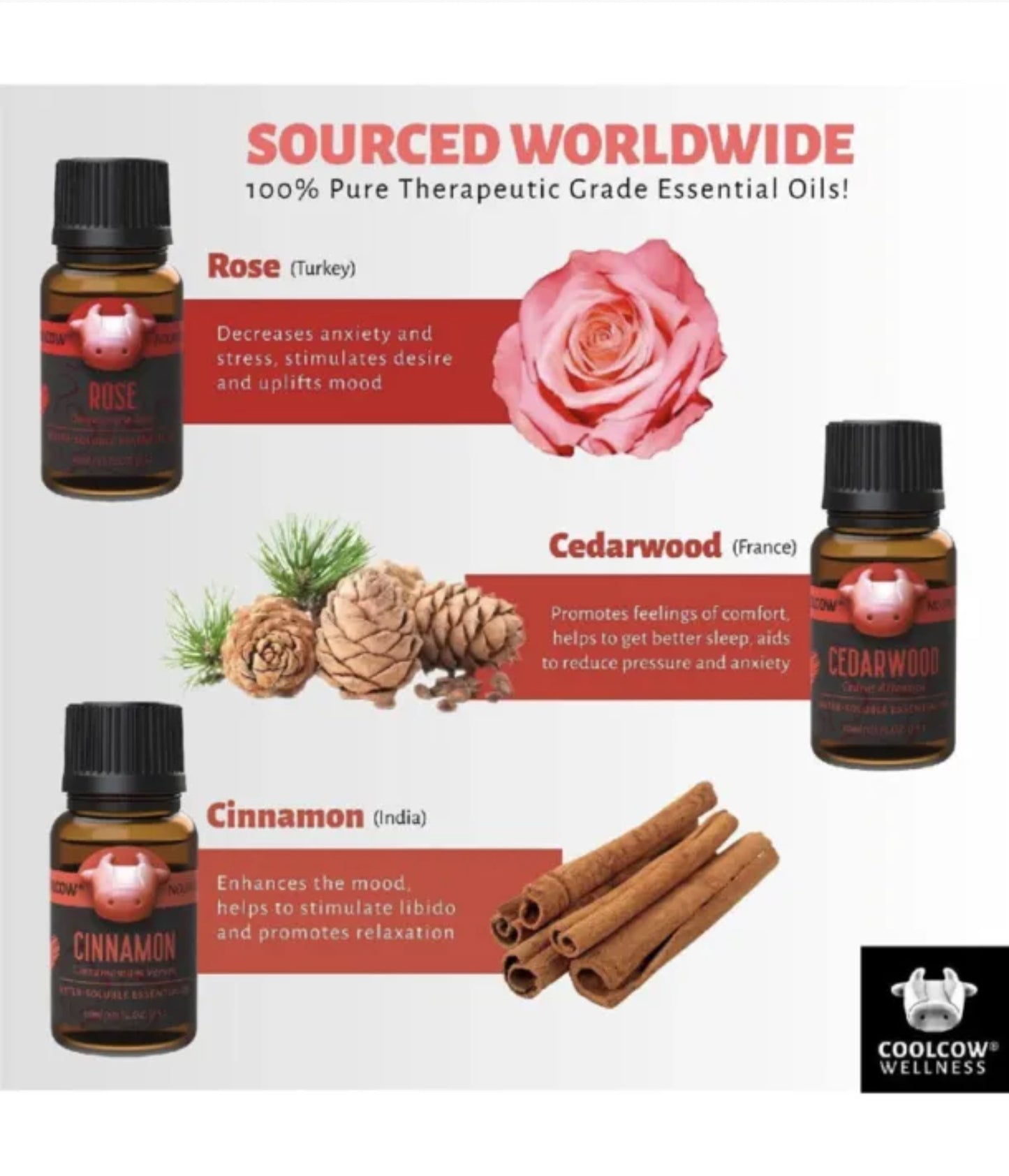 Valentines Romantic Essential Oil Set