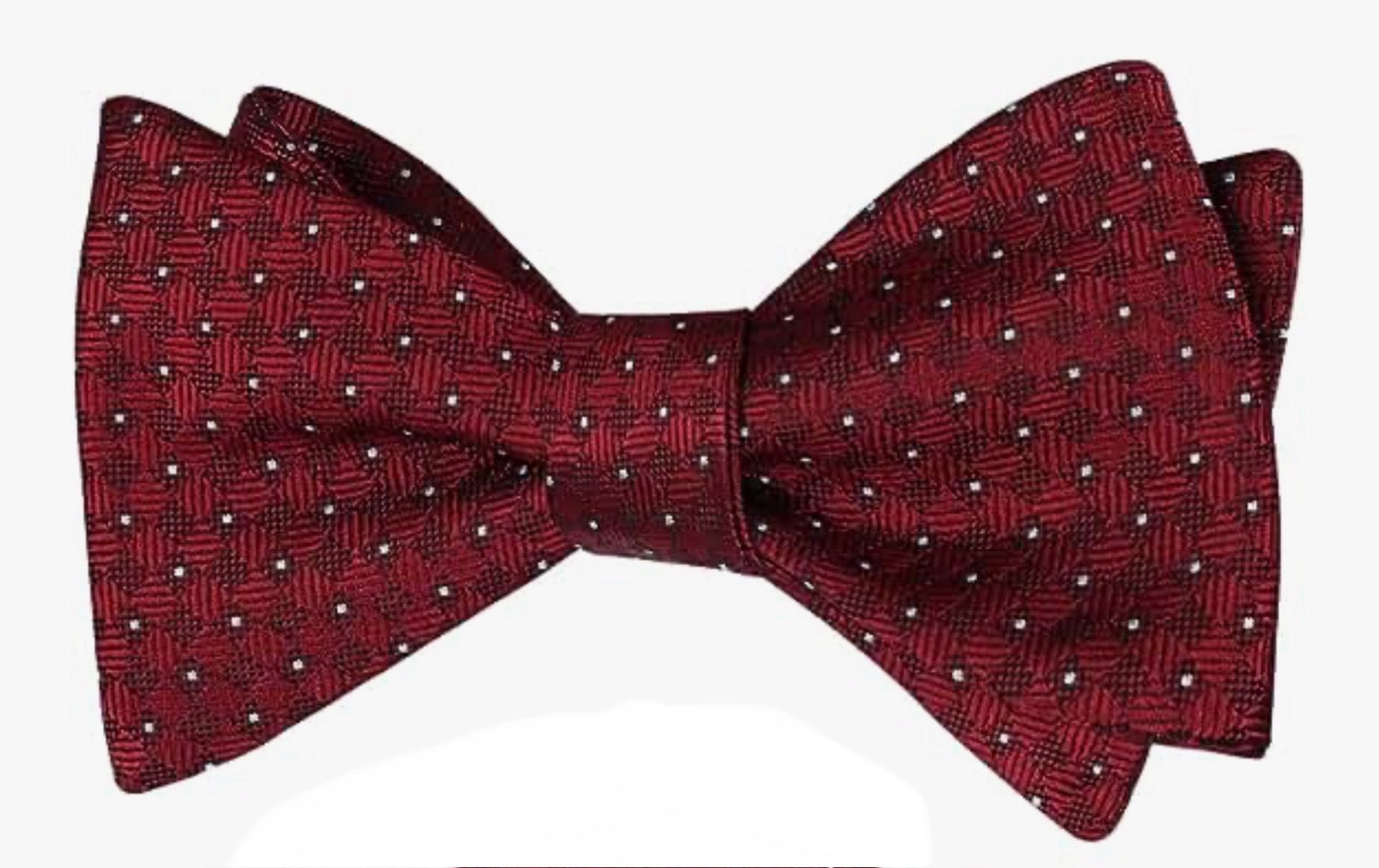 Men's Polka Dot Self Tied Bow 